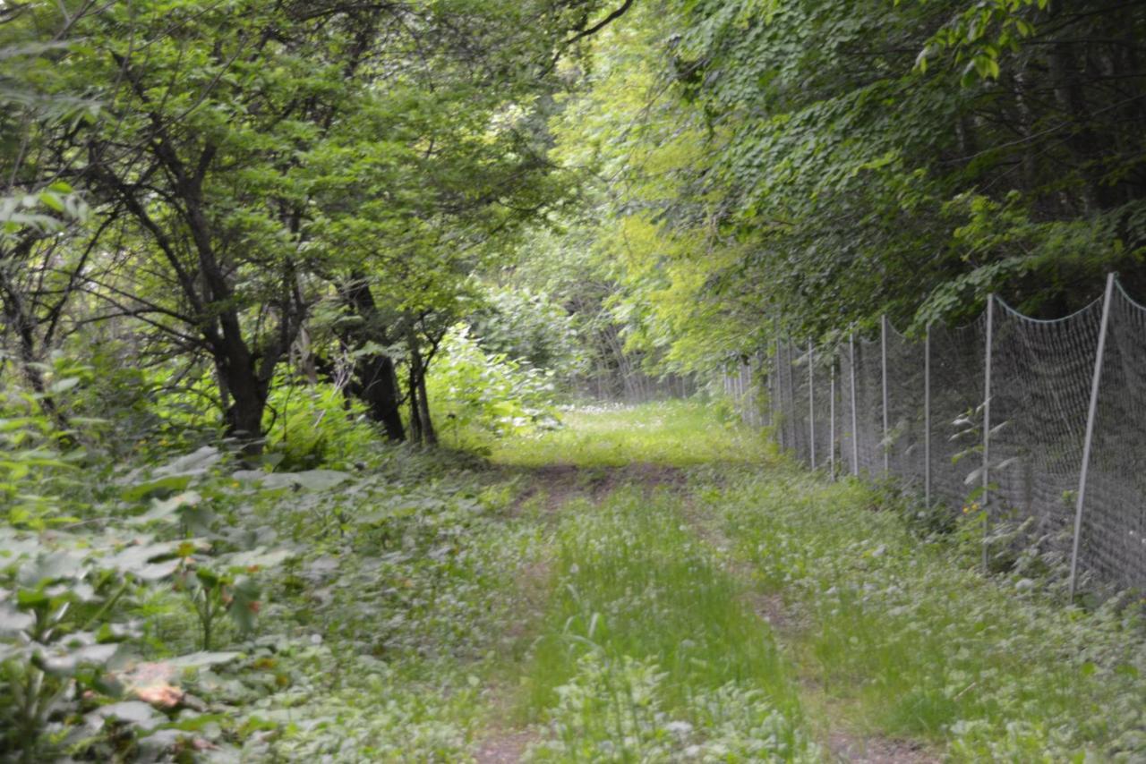 鹿家 Furano Dear House Βίλα Εξωτερικό φωτογραφία