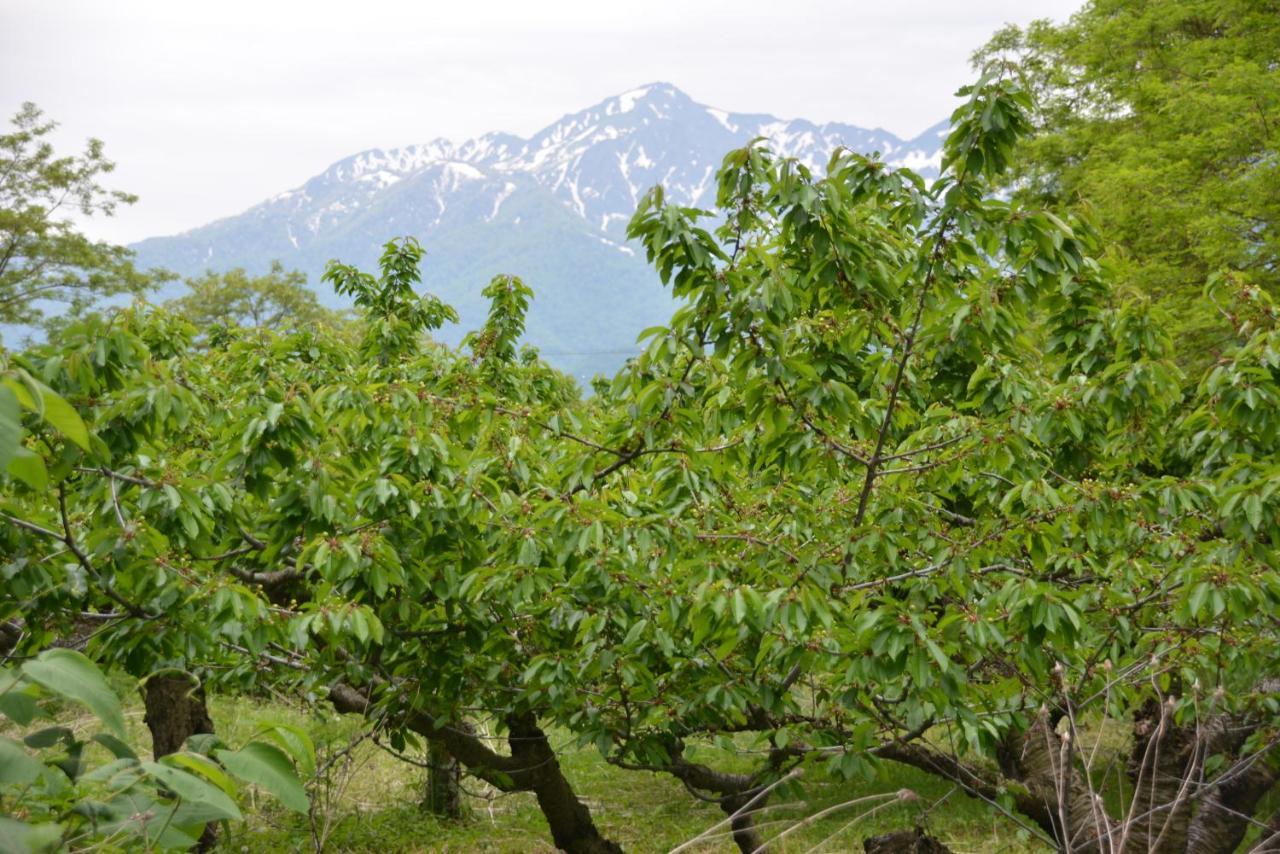 鹿家 Furano Dear House Βίλα Εξωτερικό φωτογραφία